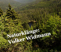 Naturklänge von Volker Widmann