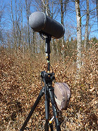 Recording setup on tripod