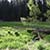 Crescent Meadow California