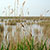 Lake Neusiedl Austria